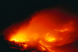 1669176961353.jpg 1669176961353.jpg